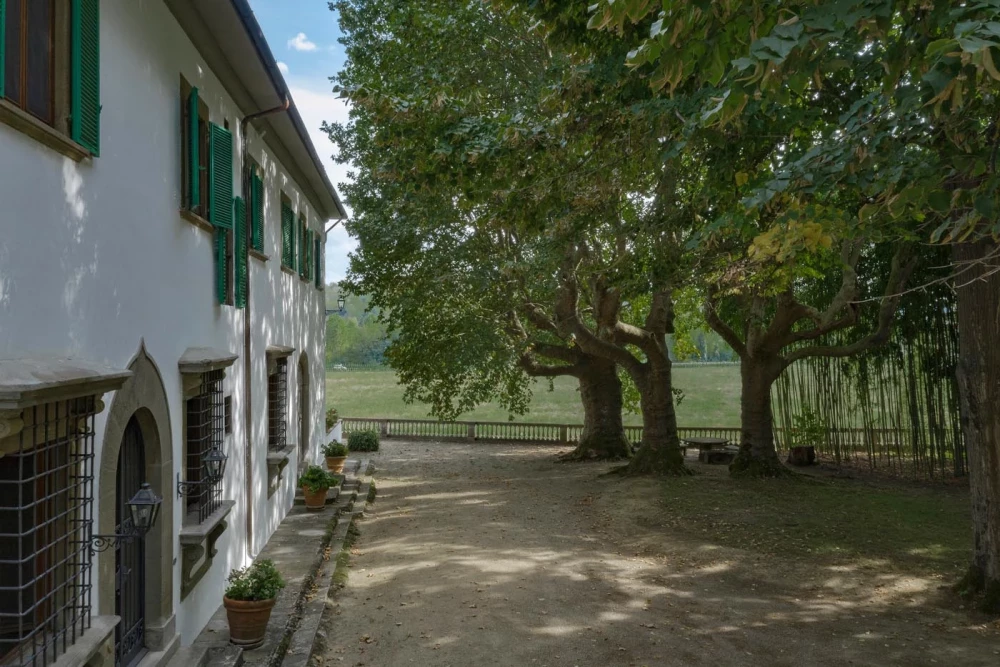 Tuscany 105
