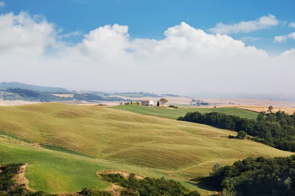 Tuscany 86