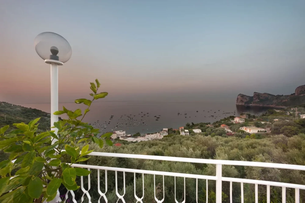 Sorrento 19