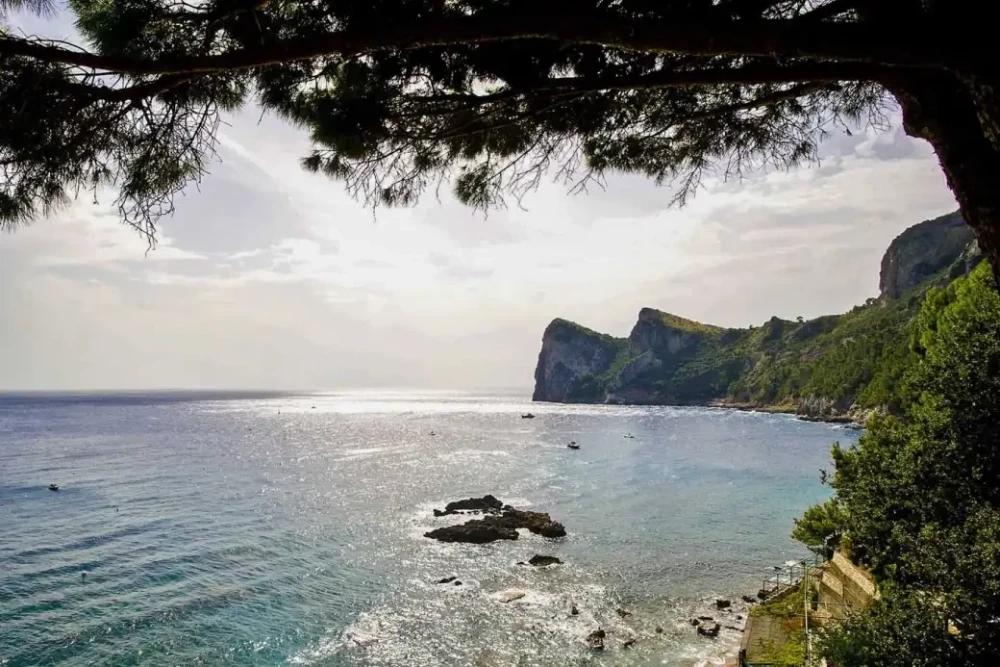 Sorrento 20