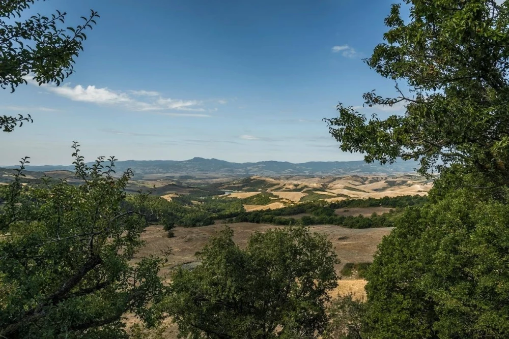 Tuscany 115