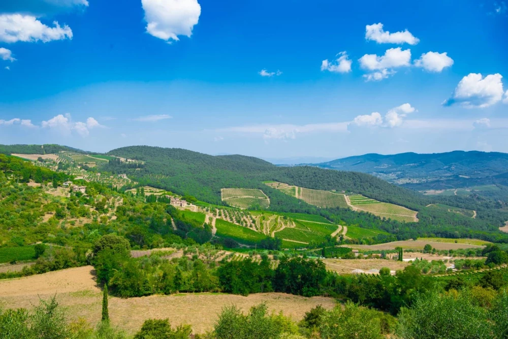 Siena 21