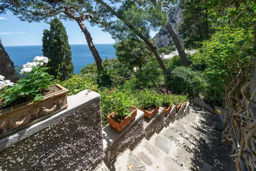 Capri 3