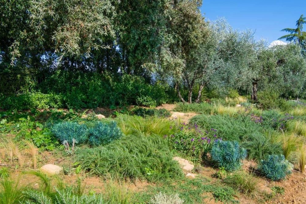Hortus