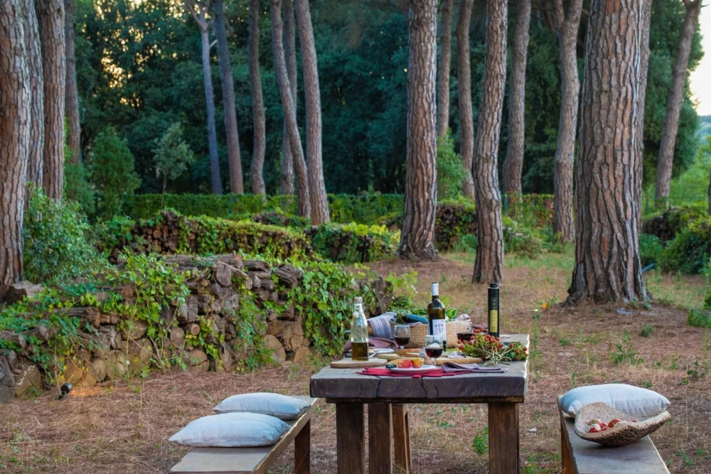 Tuscany 102