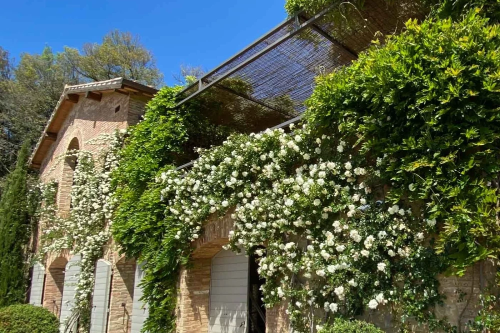 Tuscany 102