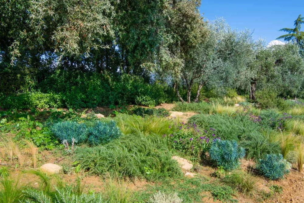 Tuscany 102