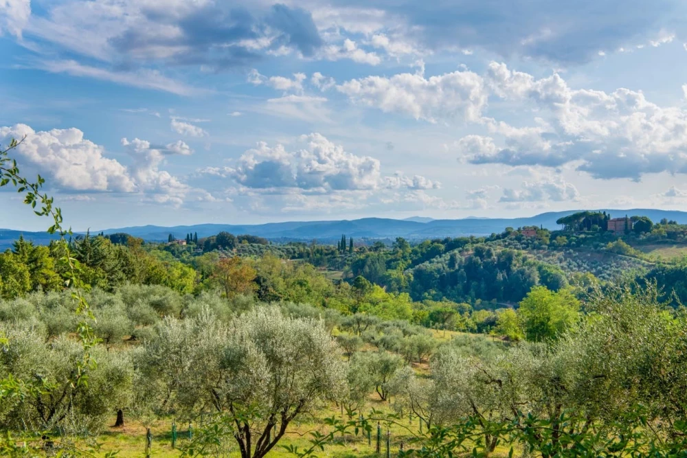 Tuscany 102