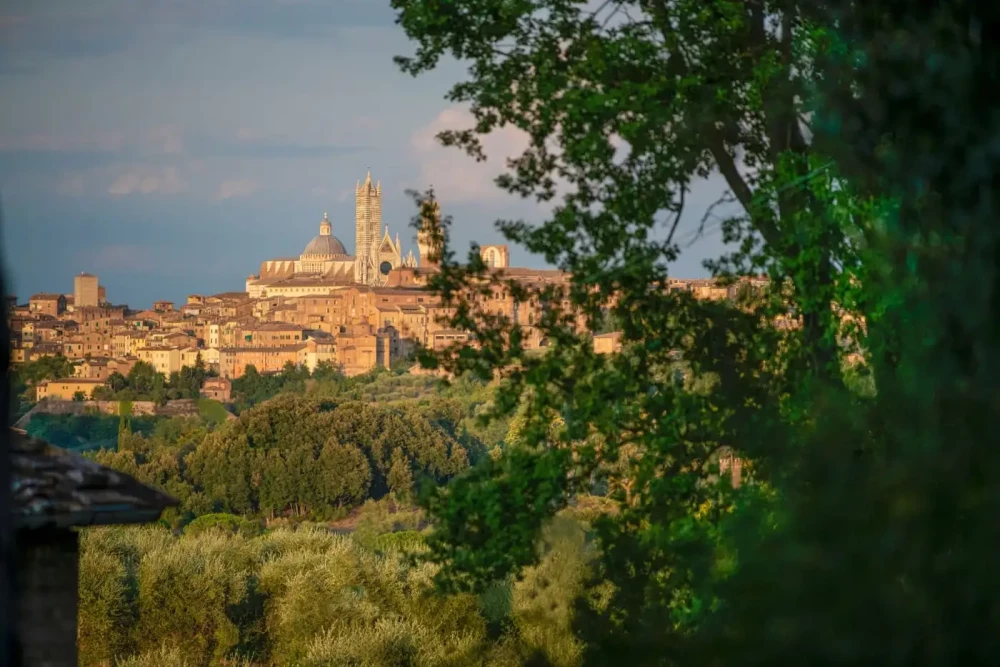 Tuscany 102
