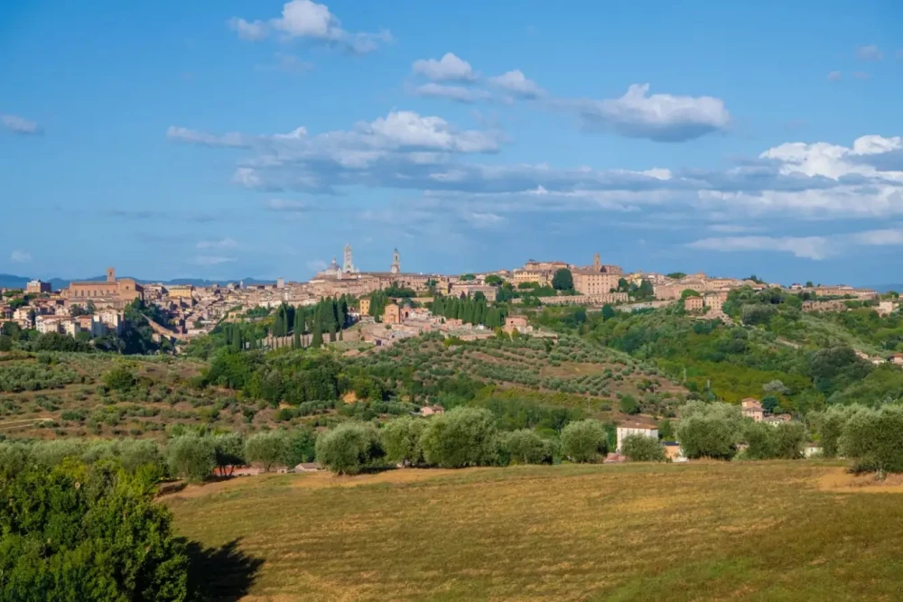 Tuscany 102