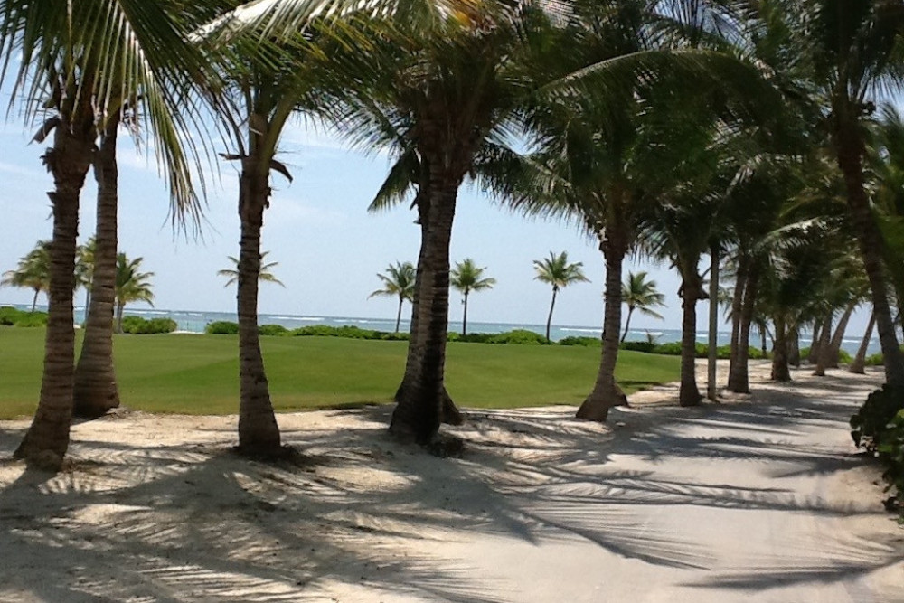 Punta Cana Resort & Club 13
