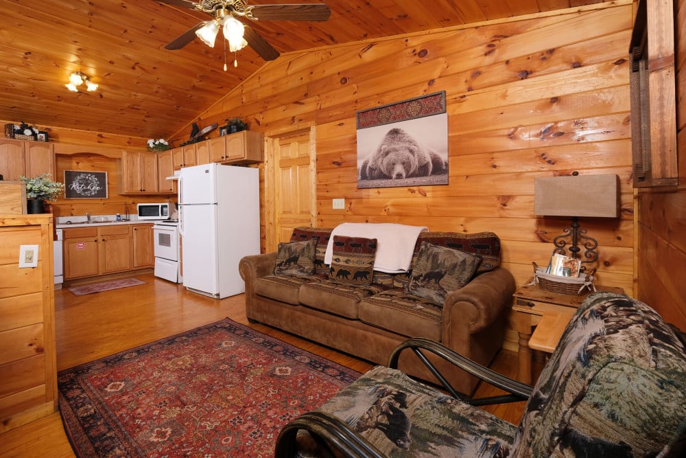 Pigeon Forge 20