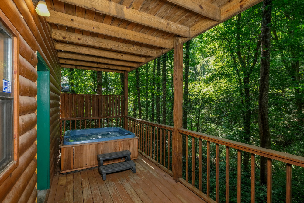 Pigeon Forge 20