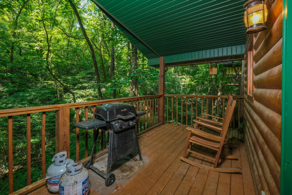 Pigeon Forge 20