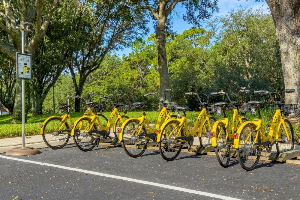 Emerald Island Resort 48