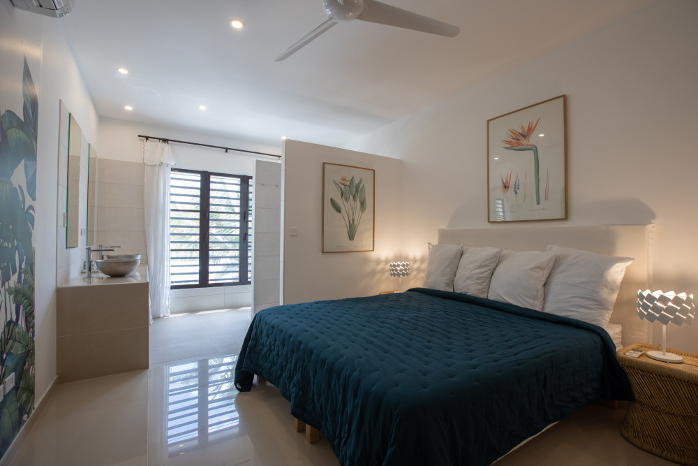 Villa Alma - Saint Martin