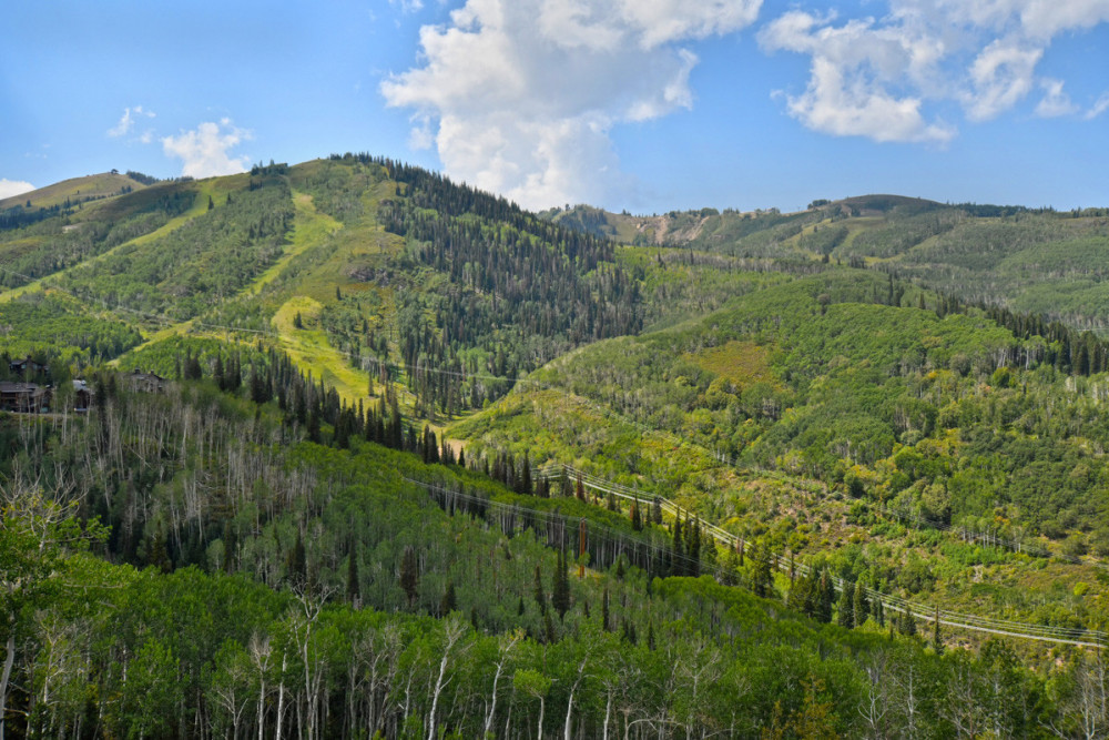Park City 121