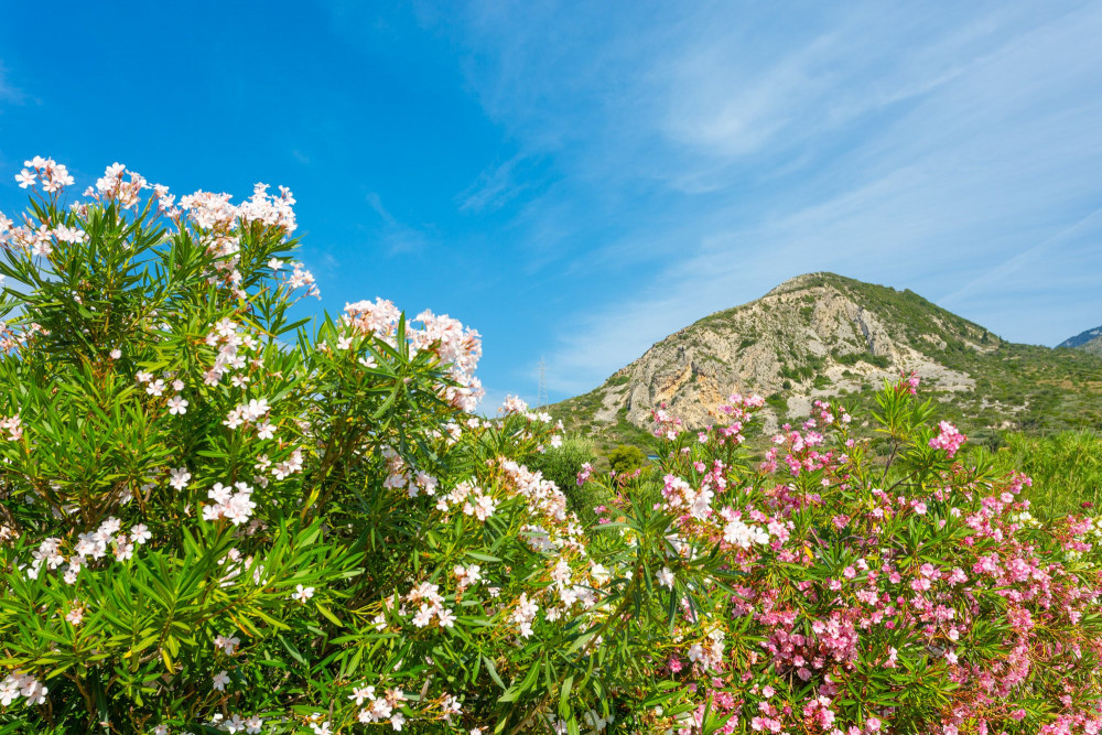 Villa Peach - Kefalonia