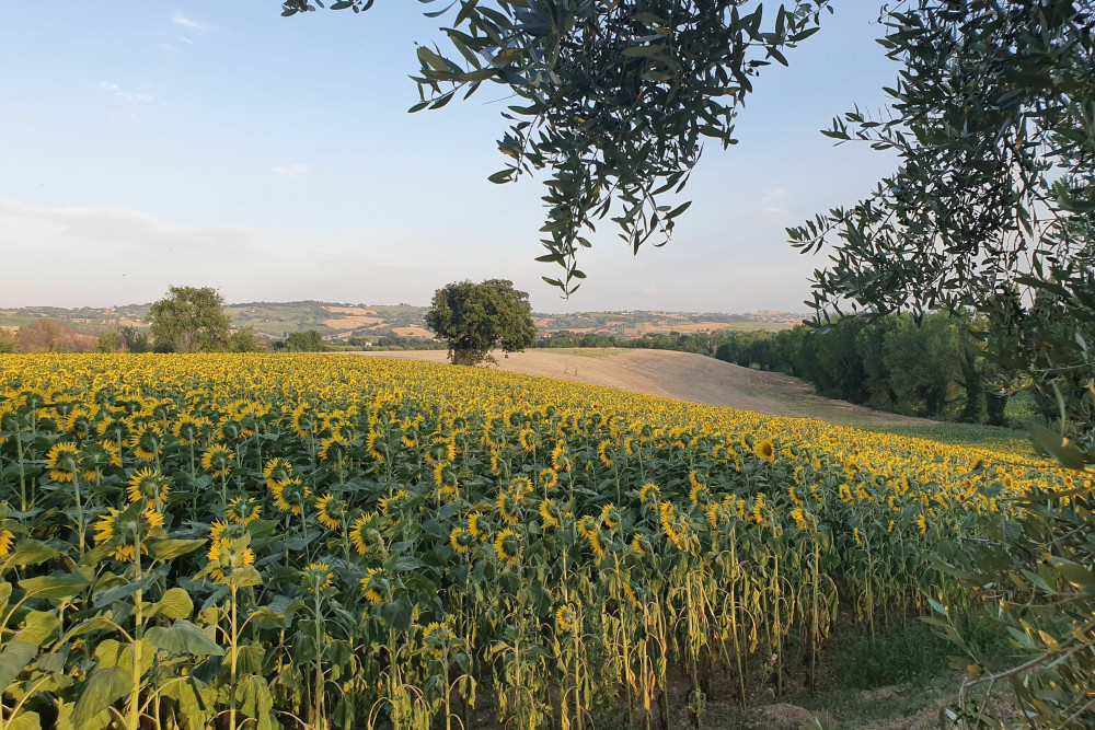 Villa Your Country Escape