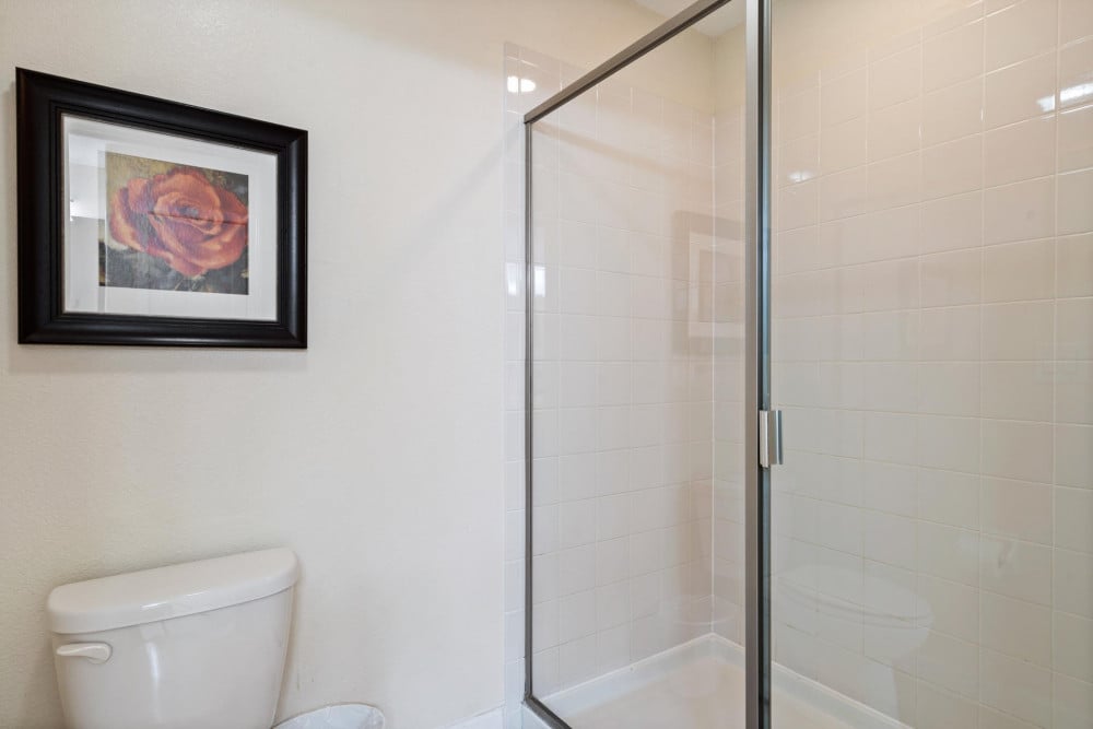 Championsgate 1728