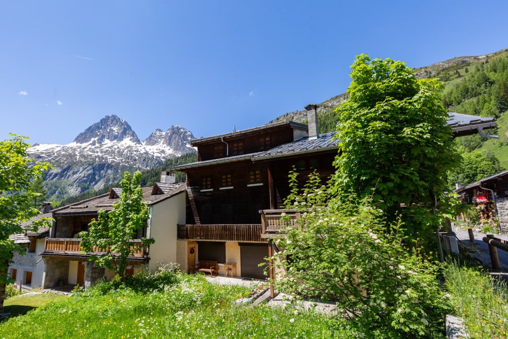 Argentiere 41