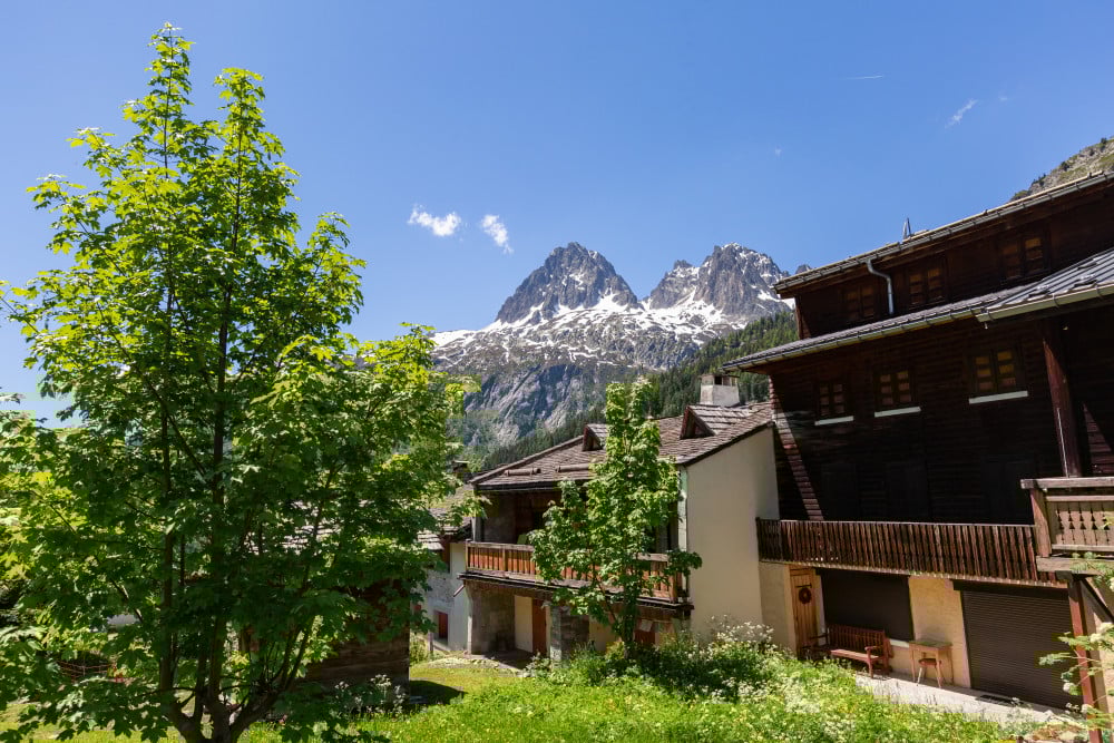 Argentiere 41
