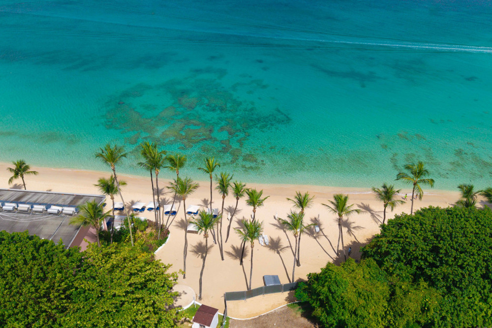 Salt Life at Claridges