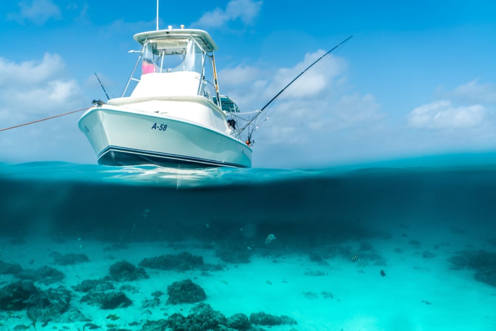 Aruba 11