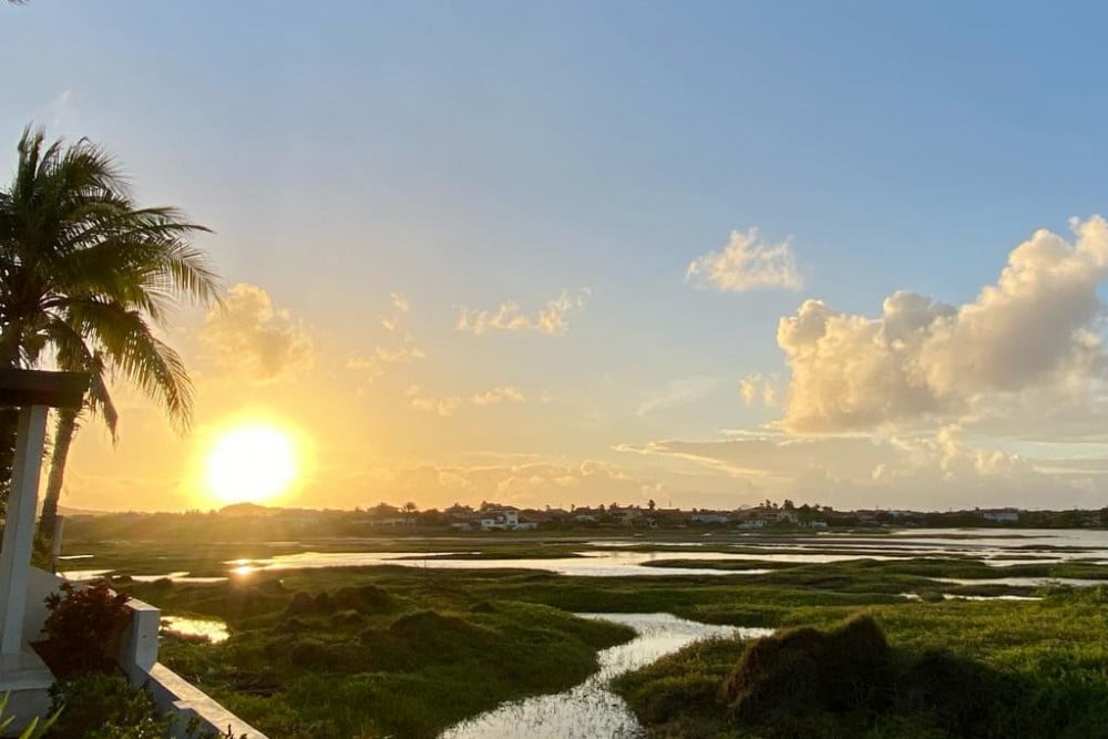 Aruba 1