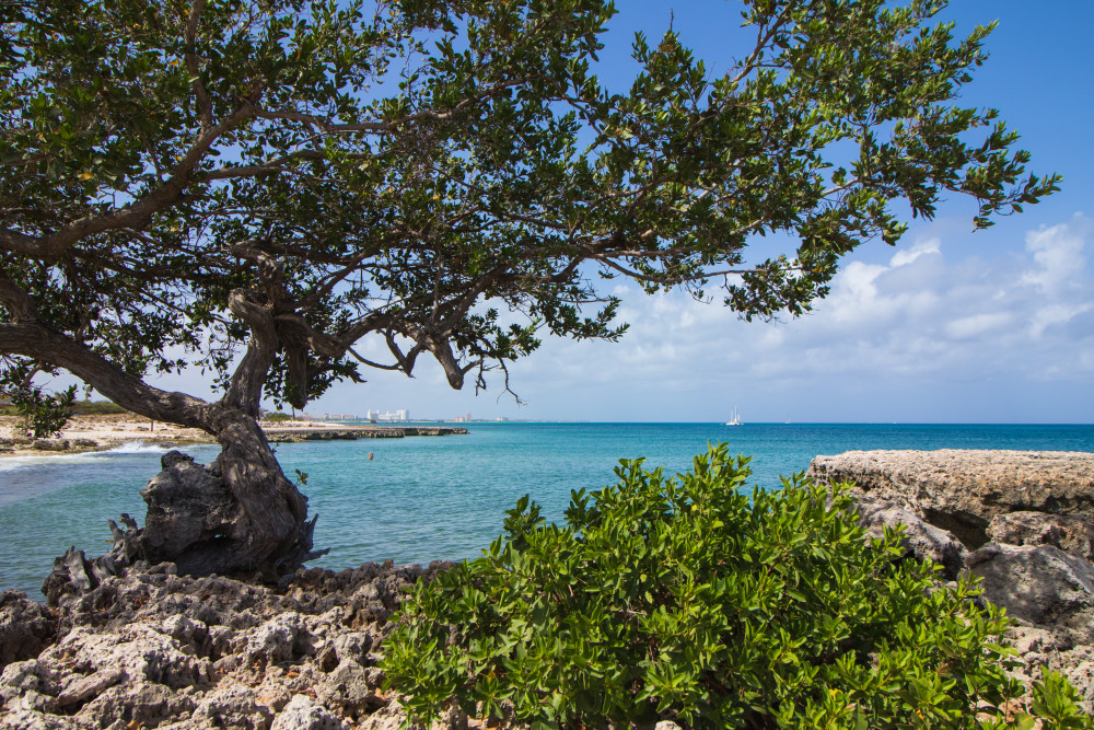 Aruba 1