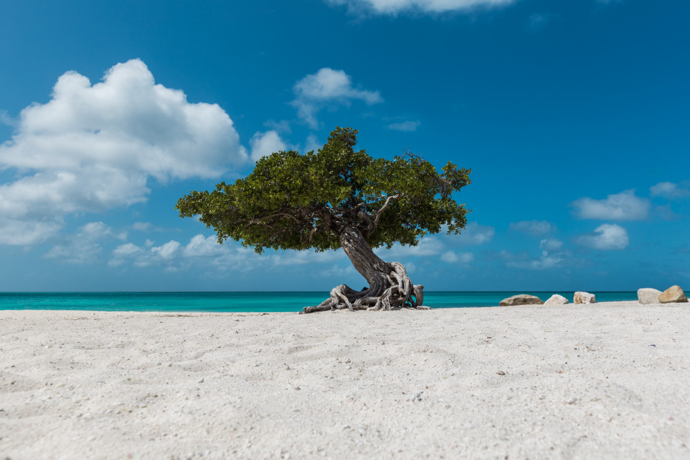 Aruba 1