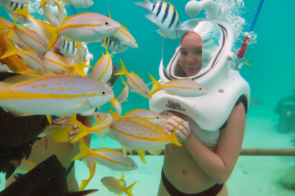 Aruba 1