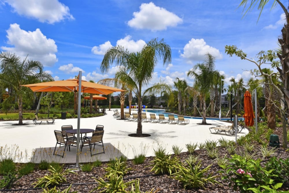 Solterra Resort 558