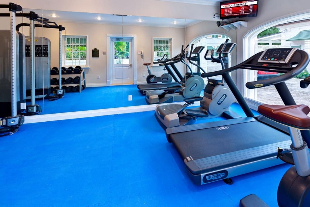 Sandy Lane - Windward