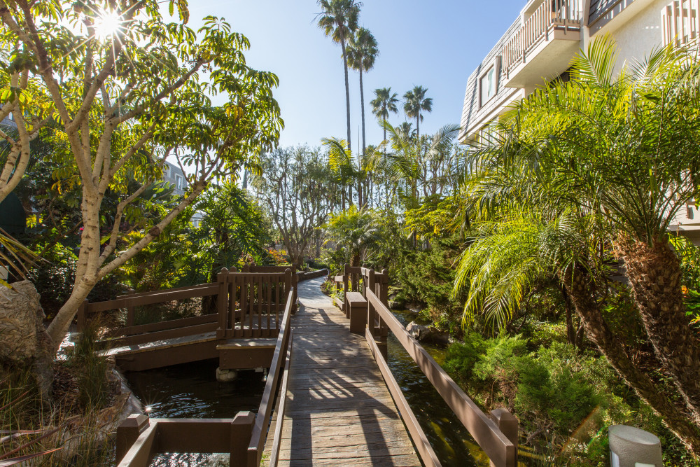 Oceanside 3