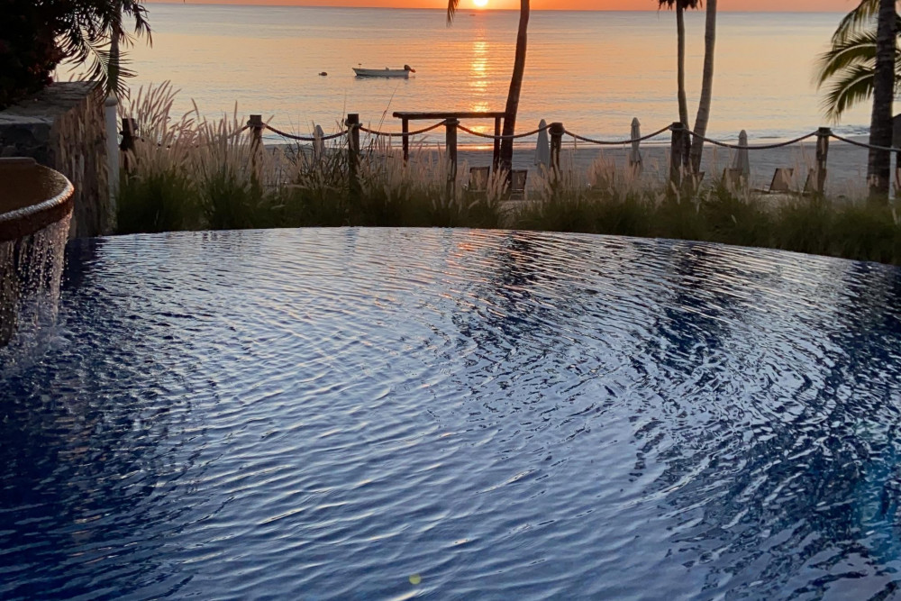 Palmilla LW 1