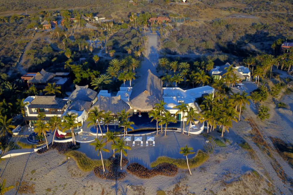 Palmilla LW 1