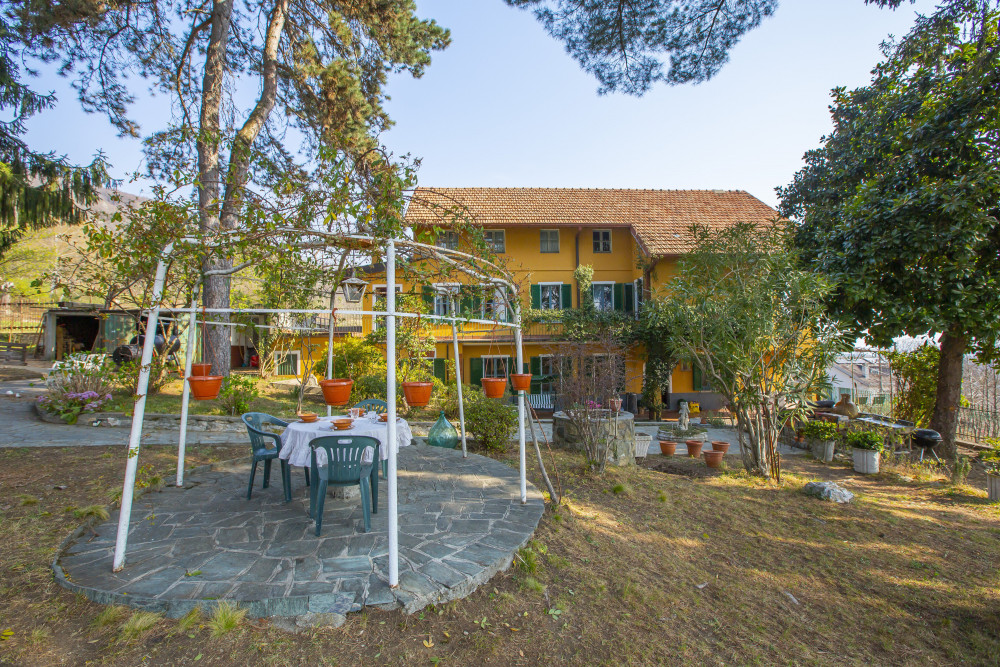 Piedmont 9