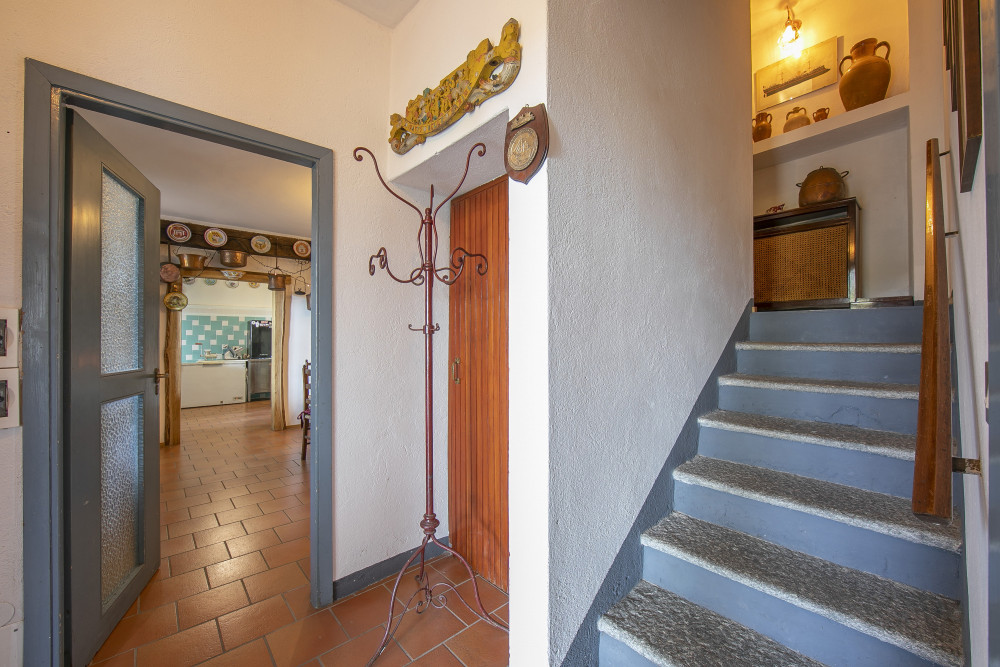 Piedmont 9