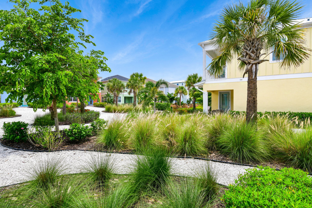 Margaritaville 516