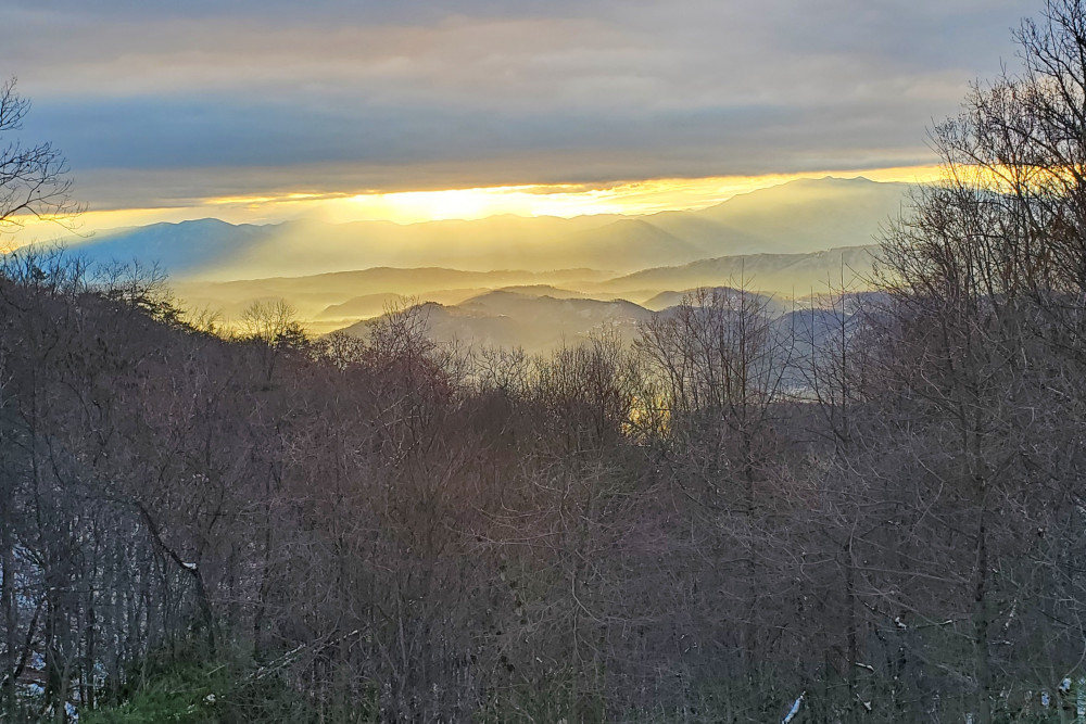 Pigeon Forge 46
