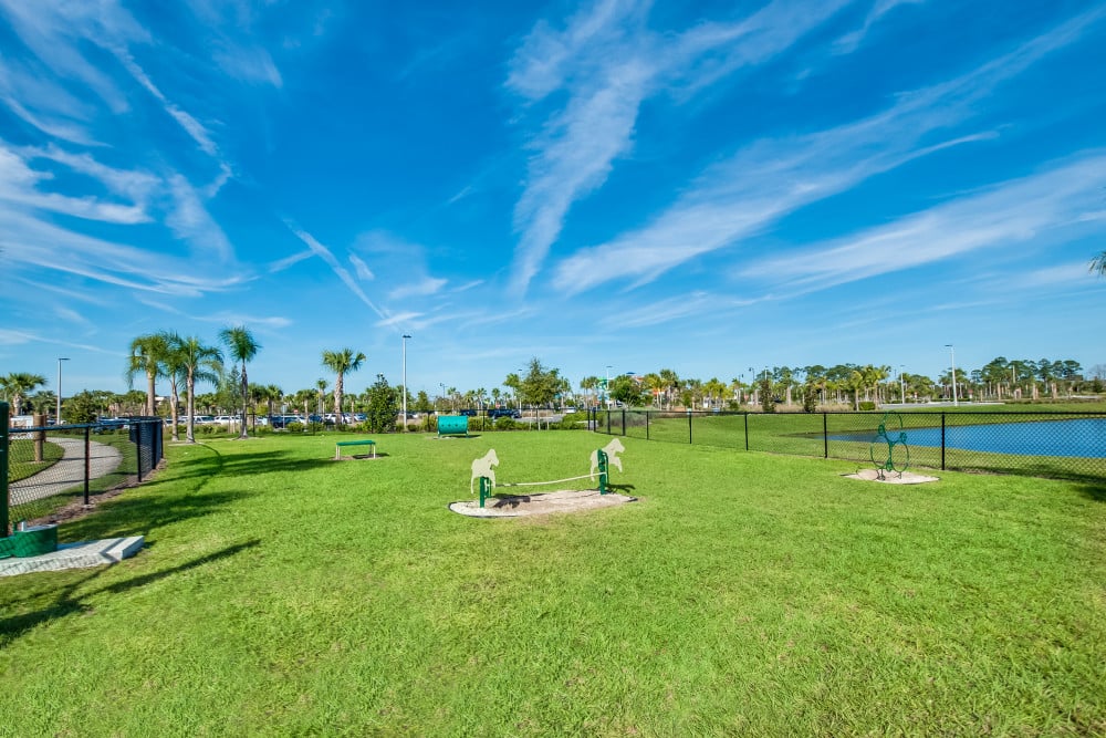 Margaritaville 274