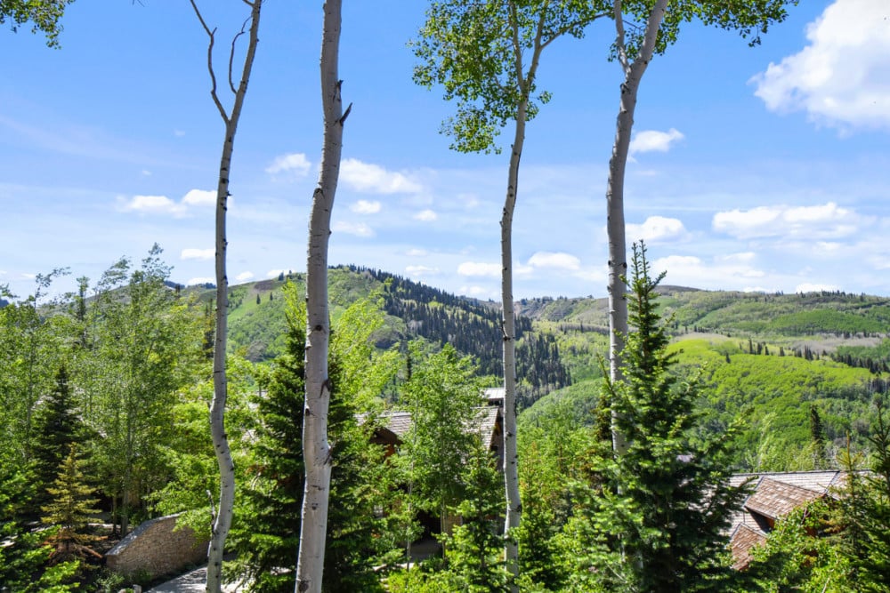 Park City 137