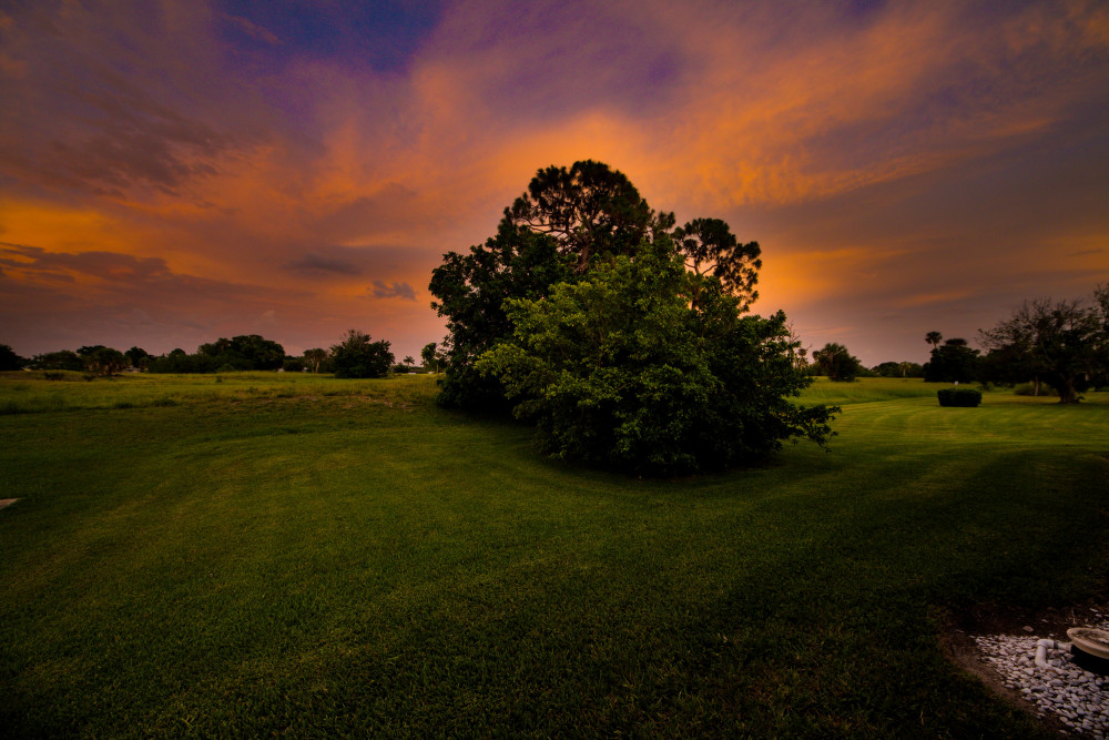 Cape Coral 447