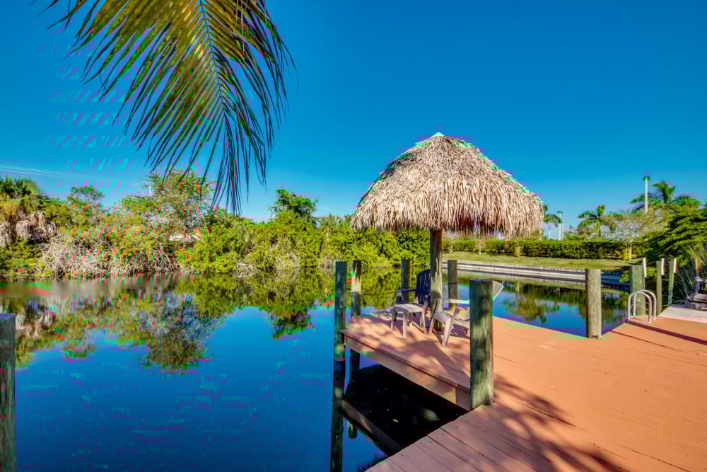 Cape Coral 559