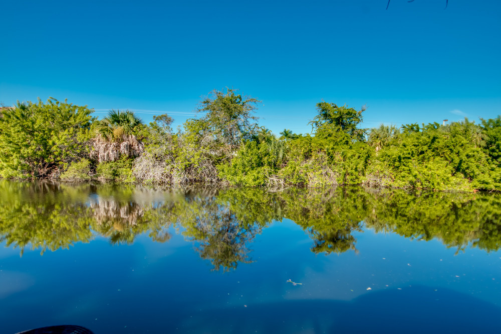 Cape Coral 559