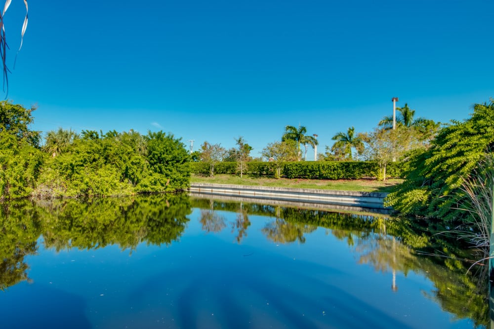 Cape Coral 559