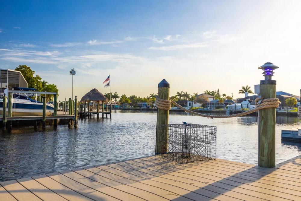Cape Coral 493