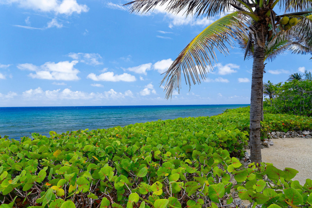 Villa Caymanas