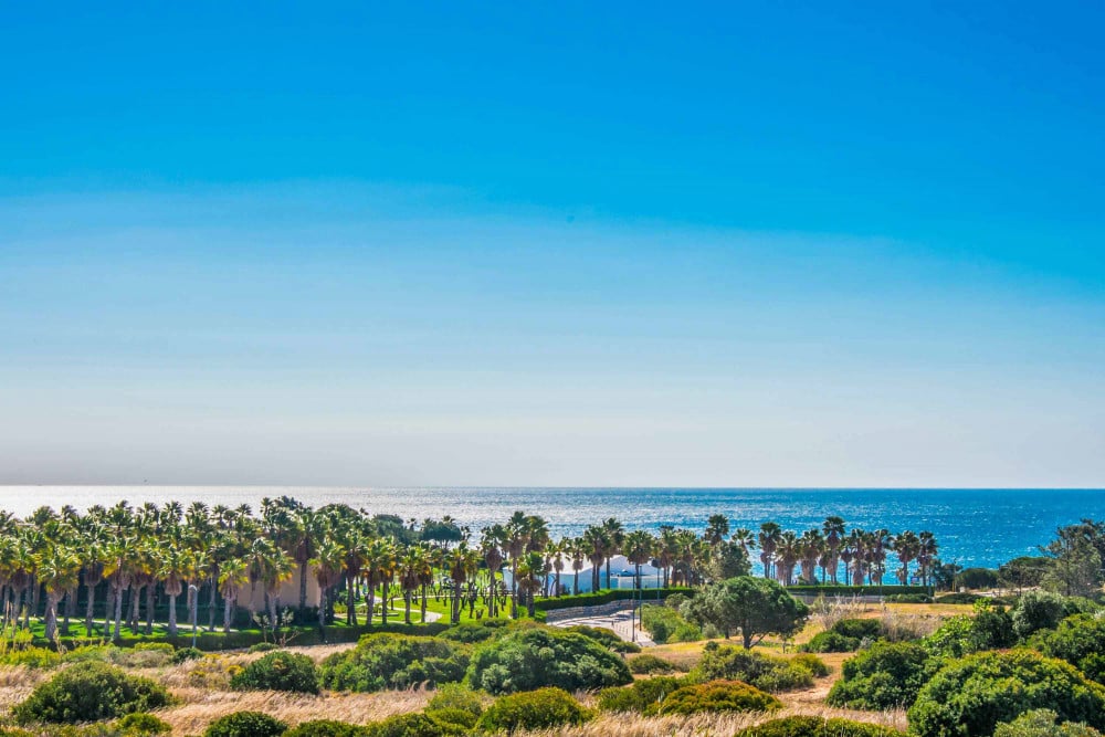 Albufeira 5